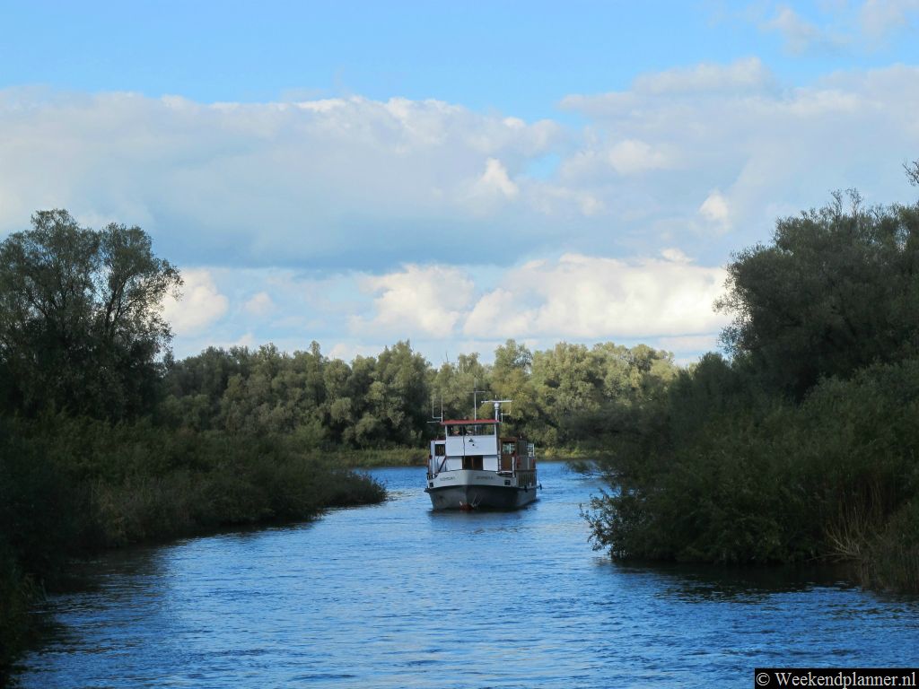 Vanuit Dordrecht, Werkendam en Drimmelen vertrekken rondvaartboten waarmee u door de Biesbosch kunt varen. Tips: De rondvaarten in de Biesbosch.